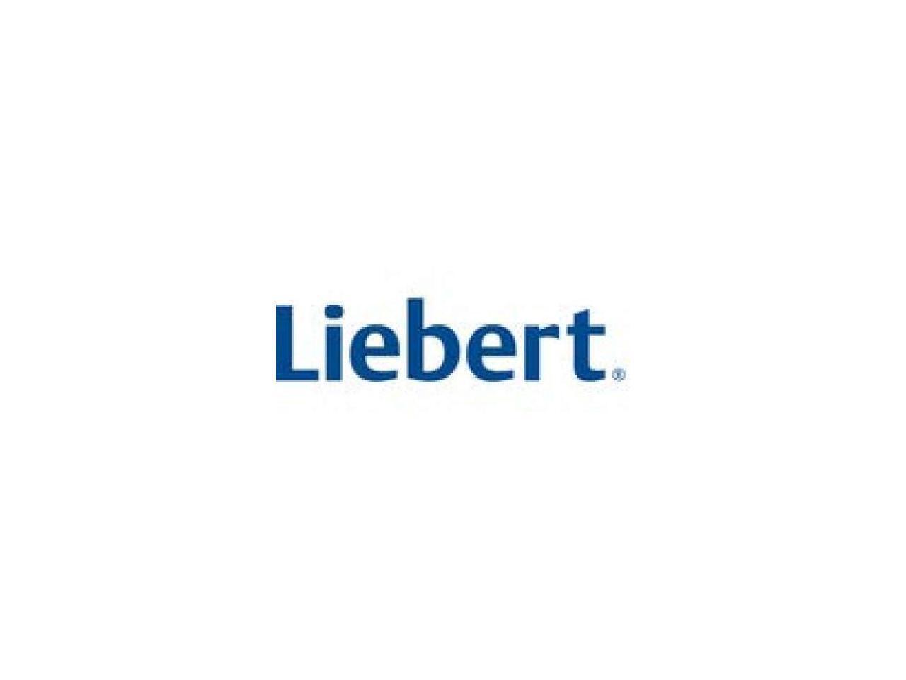 Vertiv Liebert - DisplayPort Audio/Video Cable