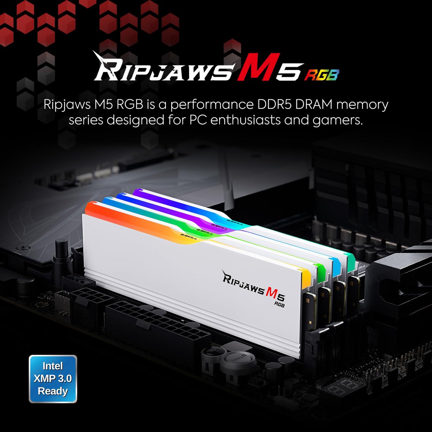 G.SKILL Ripjaws M5 RGB Series 64GB (2 x 32GB) 288-Pin PC RAM DDR5 6000 (PC5